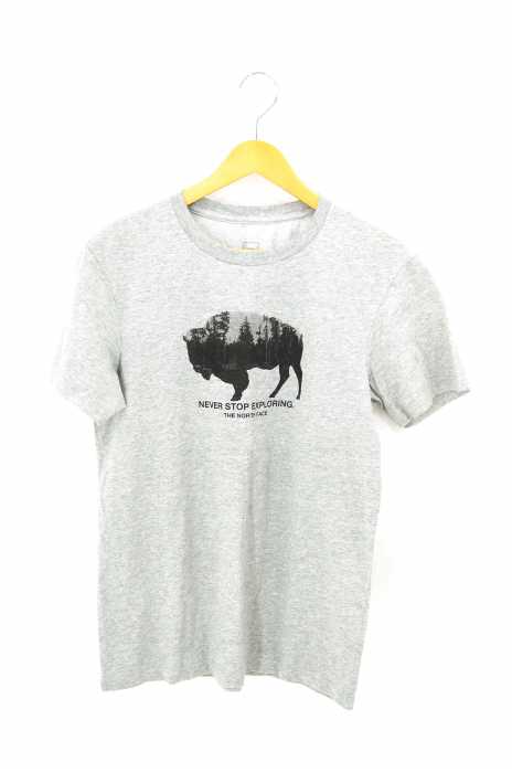 THE NORTH FACE （ザノースフェイス） フォトコラージュティー Photo Collage Tee メンズ トップス