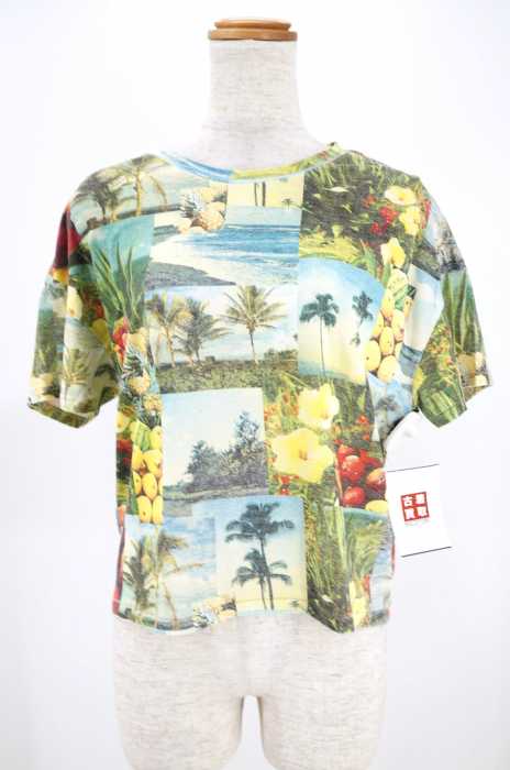 Another Edition （アナザーエディション） AE ALOHA PHOTO PRT T レディース トップス