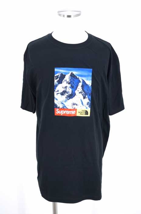 Supreme×The North Face （シュプリーム×ノースフェイス） Mountain Tee メンズ トップス