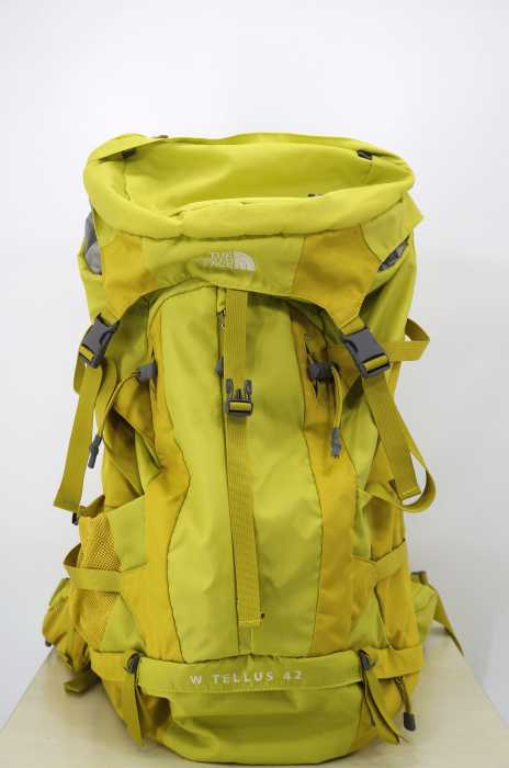 THE NORTH FACE （ザノースフェイス） W TELLUS 42 バックパック メンズ バッグ