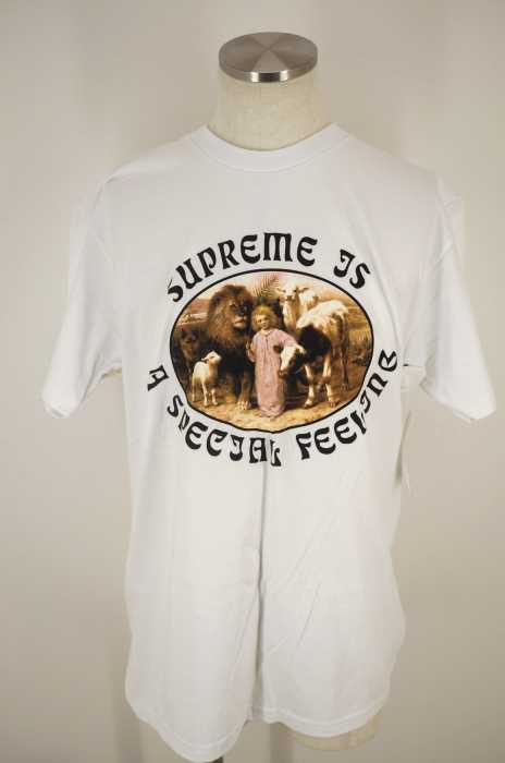 Supreme （シュプリーム） Feeling Tee メンズ トップス