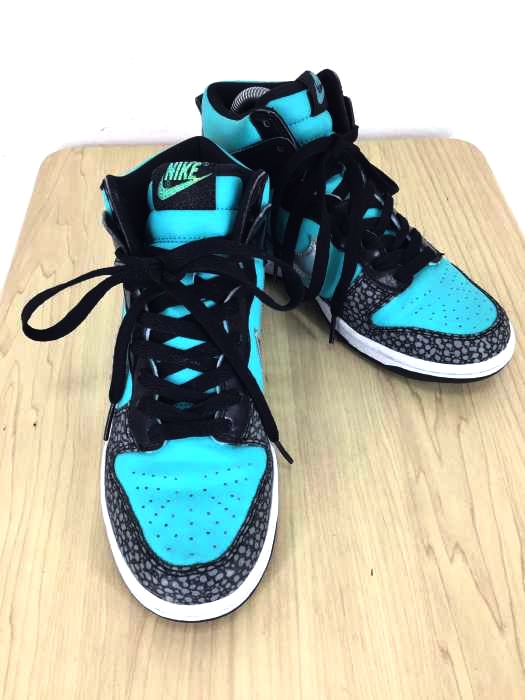 NIKE（ナイキ） Nike Dunk High GS レディース シューズ