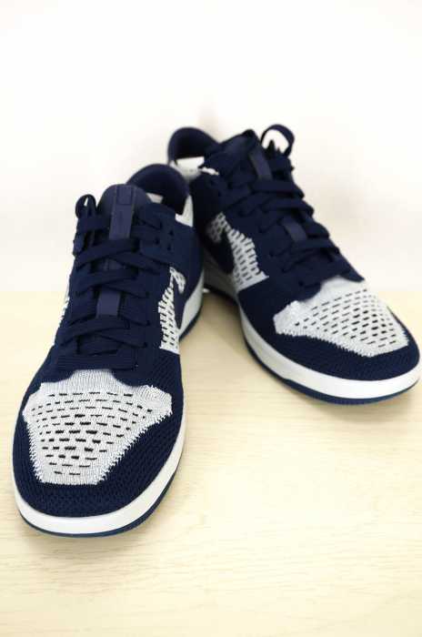 NIKE （ナイキ） DUNK FLYKNIT メンズ シューズ