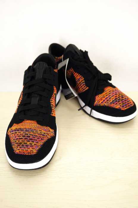 NIKE （ナイキ） DUNK FLYKNIT メンズ シューズ