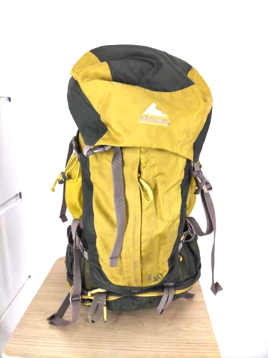 GREGORY（グレゴリー） Z40 バッグパック メンズ バッグ