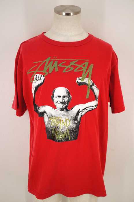 STUSSY (ステューシー) プリントTシャツ メンズ トップス
