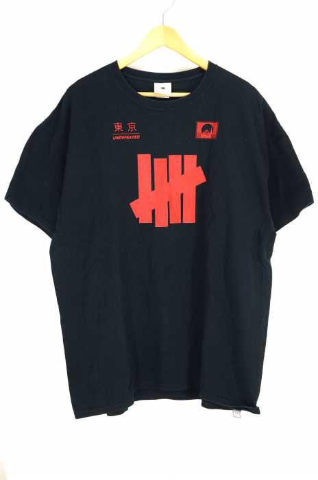 UNDEFEATED (アンディフィーテッド) DAIBA REGIONAL TEE メンズ トップス