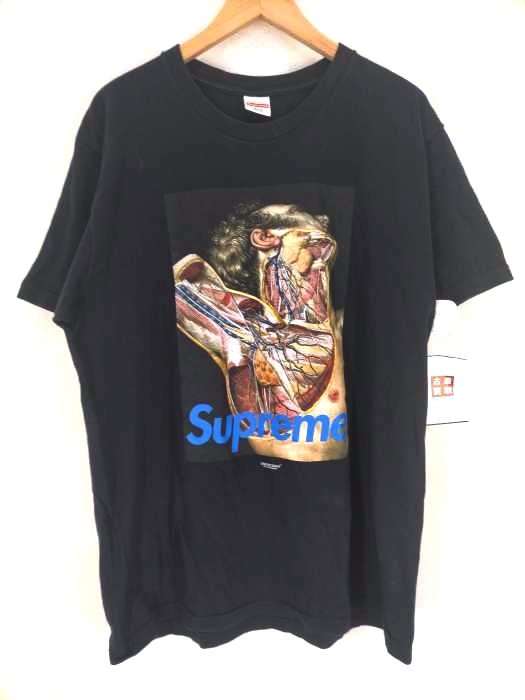 Supreme(シュプリーム) Anatomy Tee アナトミープリントTシャツ メンズ トップス