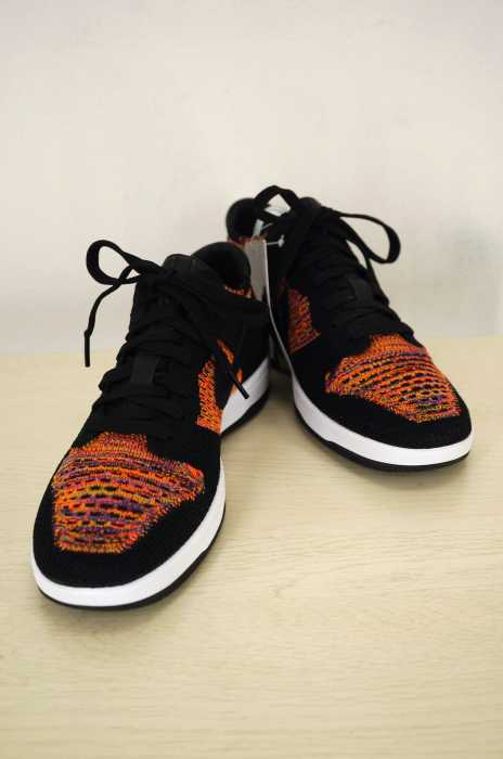 NIKE （ナイキ） DUNK FLYKNIT メンズ シューズ