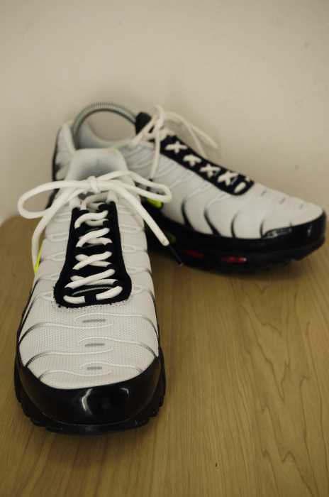 NIKE (ナイキ) NIKE AIR MAX PLUS メンズ シューズ