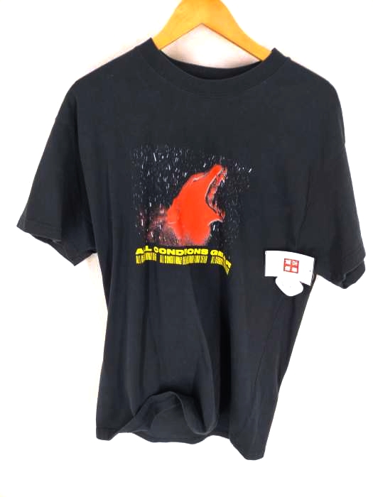 NIKE ACG（ナイキエーシージー） TEE WOLF ウルフグラフィックプリントTシャツ レディース トップス