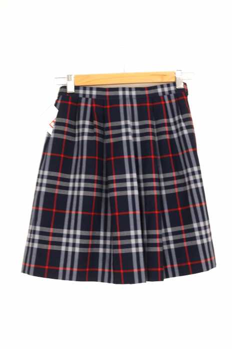 BURBERRYS（バーバリーズ） チェック柄フレアスカート レディース スカート