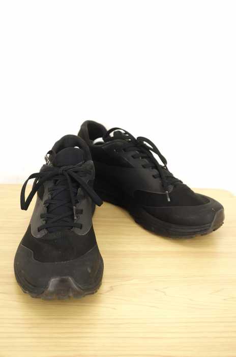 ARCTERYX（アークテリクス） NORVAN LD GTX メンズ シューズ