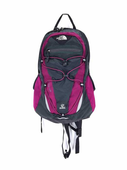 THE NORTH FACE （ザノースフェイス） RAY 18 バックパック レディース バッグ