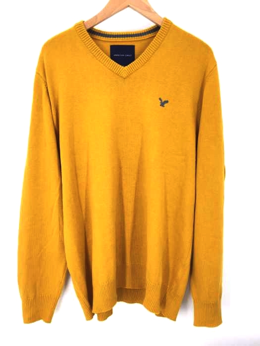  AMERICAN EAGLE（アメリカンイーグル） Vネックニット メンズ トップス