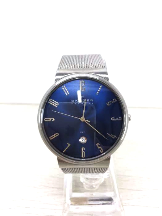 SKAGEN(スカーゲン) Mesh Big Case 3針 メンズ 腕時計