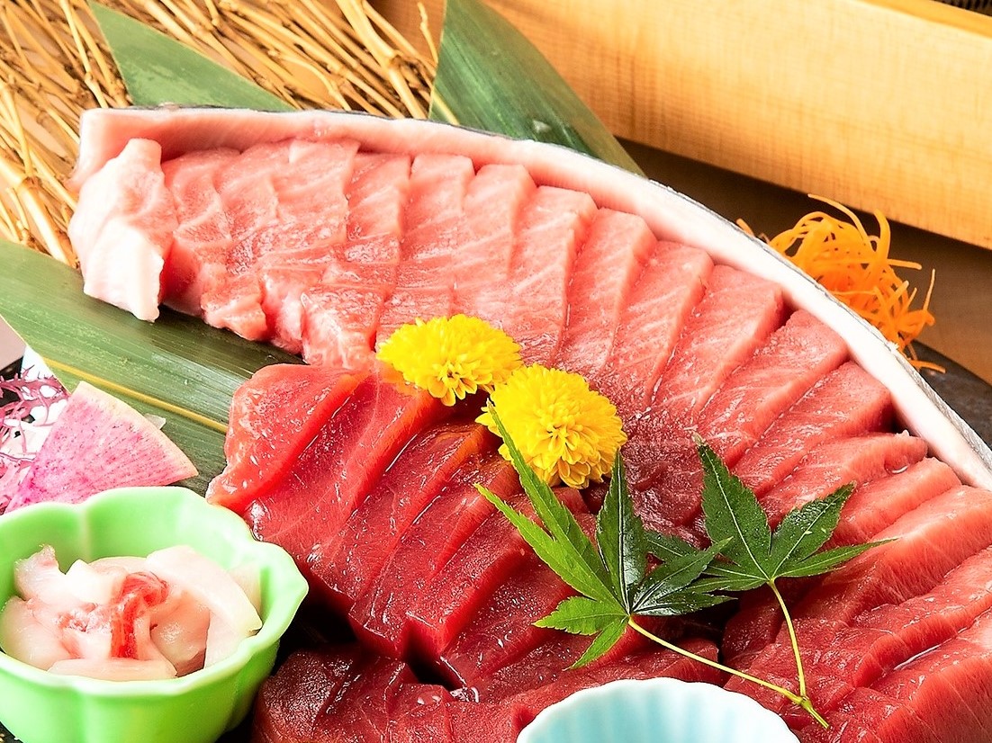 マグロの腹身 断面刺し