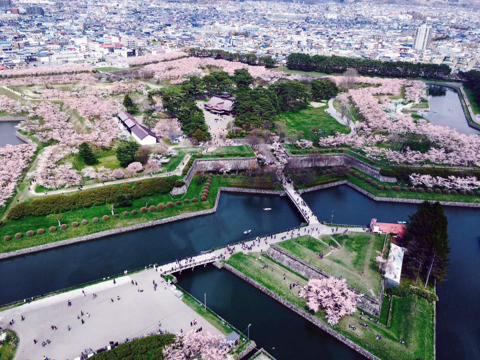 春の絶景ナンバーワン 観光スポット 五稜郭公園の桜 札幌 びもーる