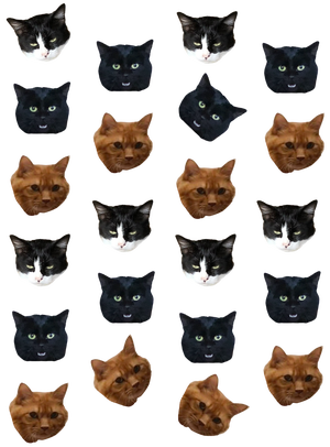 サンプル印刷画像