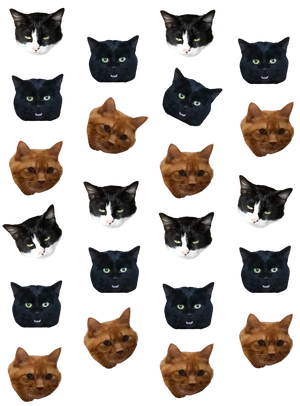 サンプル印刷画像