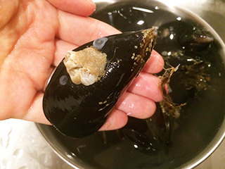 短時間でサッと作れる ブルターニュ地方の郷土料理 ムール マリニエール 家ワイン 短時間でサッと作れる ブルターニュ地方の郷土料理 ムール マリニエール 家ワイン