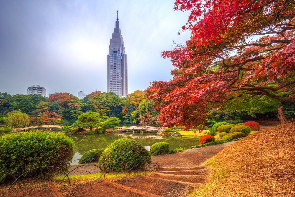 discovering-shinjuku-japan-yabai-the-modern-vibrant-face-of-japan