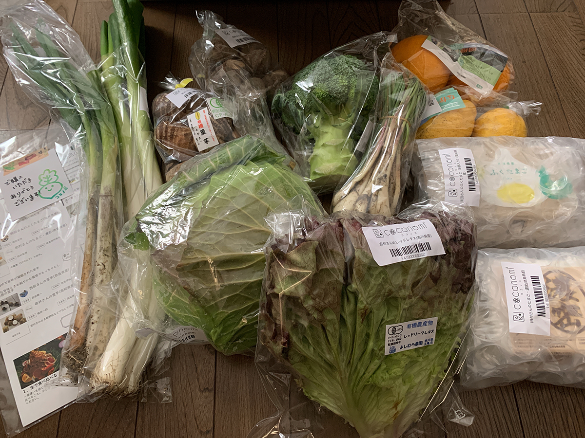 COCONOMI 野菜