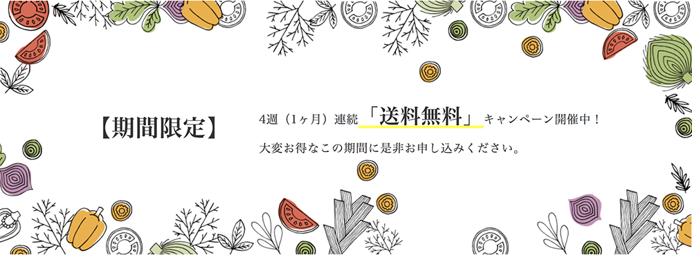 COCONOMI 送料無料キャンペーン