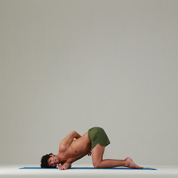 子犬の伸びのポーズ Yoga Hack ヨガハック 自分らしいココロとカラダを作る 子犬の伸びのポーズ Yoga Hack ヨガハック 自分らしいココロとカラダを作る