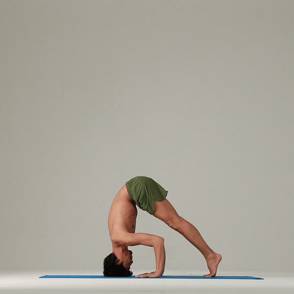 支えのある頭立ちのポーズ Yoga Hack ヨガハック 自分らしいココロとカラダを作る