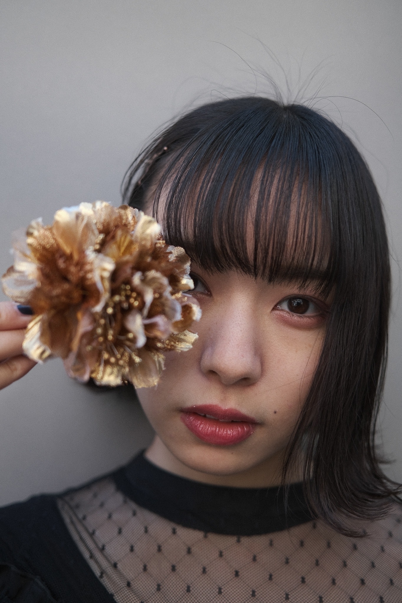 Bitstar ビットスター