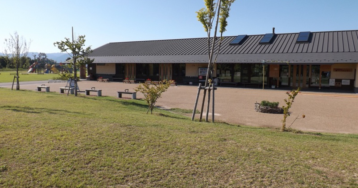 ウィンゾリー現地球　森のこびと ⊿ Celso #celso_comolebi #comolebi_plants @comolebi_plants