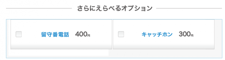 選べるオプションキャッチホン