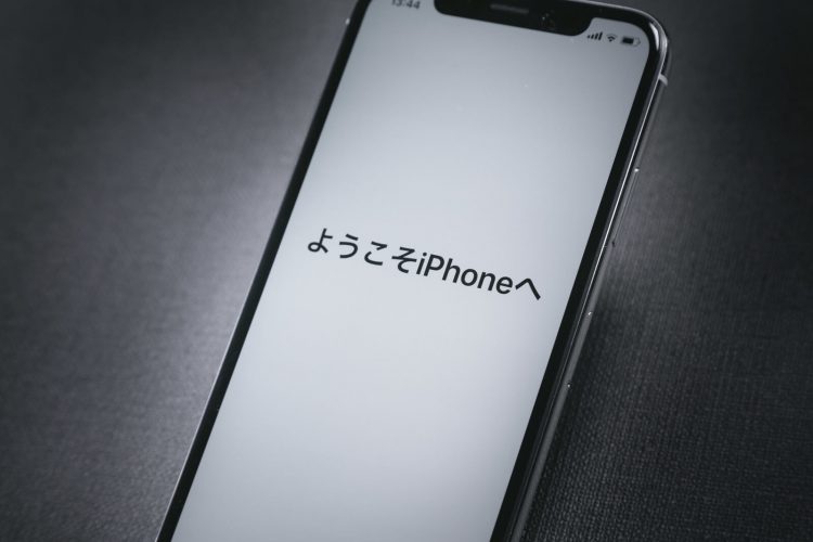 iPhoneX