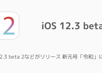 ios12.3_1