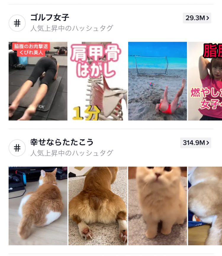 【ティックトック】個人情報流出の恐れ！セキュリティー上の欠陥発見！