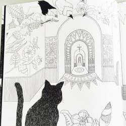 コロリエ プロフィール ブログサークル