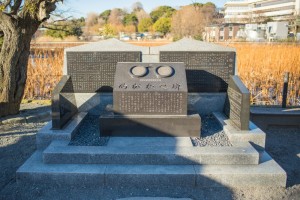 20170115_SPOT-tera-60