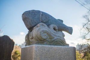 20170115_SPOT-tera-66