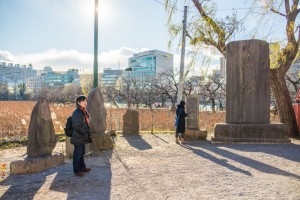 20170115_SPOT-tera-80