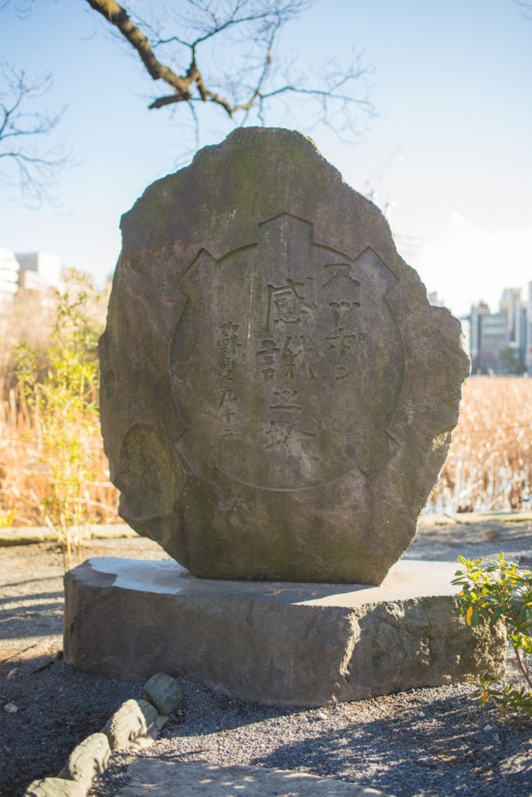 20170115_SPOT-tera-72