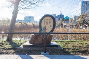 20170115_SPOT-tera-87