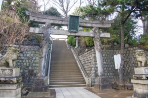 20170118_SPOT-tera-3