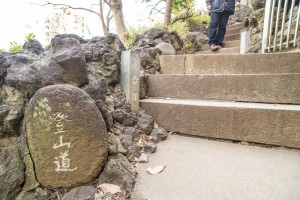 20170118_SPOT-tera-24