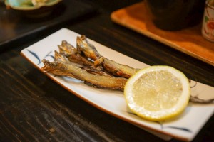 niigata-takada-1-28