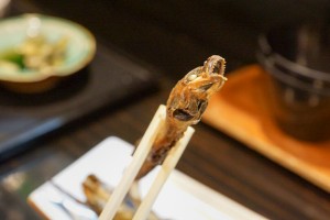 niigata-takada-1-29
