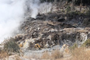 IMG_5598