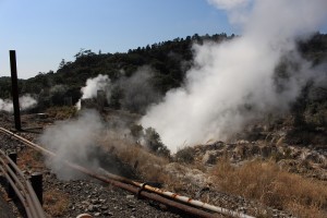 IMG_5594