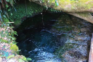 IMG_5248