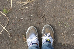 IMG_6034